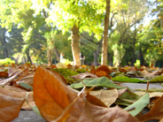 Օդի ջերմաստիճանն էապես չի փոխվի