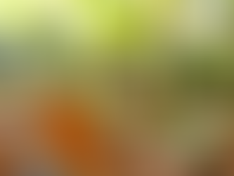 Օդի ջերմաստիճանն էապես չի փոխվի