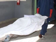 Սպանություն Մեղրաշենում