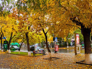 Սպասվում են տեղումներ, լեռնային գոտիներում` ձյան տեսքով. ջերմաստիճանը կնվազի 4-6 աստիճանով