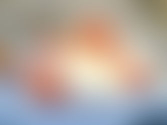 Ռուս կինը Անթալիայի օդանավակայանի զուգարանում լքել է իր նորածին երեխային