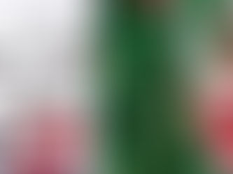 Ե՞րբ տանը կլինեք ամանորյա տոներին