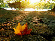 Սպասվում է առանց տեղումների եղանակ