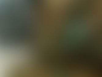 «Հրապարակ». Ինչո՞ւ չեն նախատեսում թոշակառու գնդապետների, գեներալների վերադարձը ծառայություն