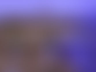 Օտարերկրացու նկատմամբ ավազակություն կատարած երիտասարդը ձերբակալվել է