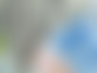 Ի՞նչ փոխարժեքներ են սահմանվել նոյեմբերի 11-ին