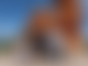 «Կեցցե՛ր Արցախի Հանրապետությունը, կեցցե՛ հեծանիվը»․ Փաշինյանի ուղերձների էվոլյուցիան՝ 2018-2024 թվականներին