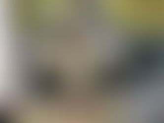 Լեհաստանում ռուս դիվերսանտներ են ձերբակալվել