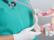 Աղիքային ցուպիկ․ Առաջացման պատճառներ, ռիսկի խմբեր