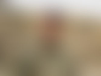 Ադրբեջանը կեղծ խաղաղասիրական հավաստիացումներին զուգահեռ ակտիվ զինվում է․ Աբրահամյան