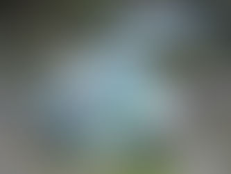 Ադրբեջանական բանակը կորուստ ունի