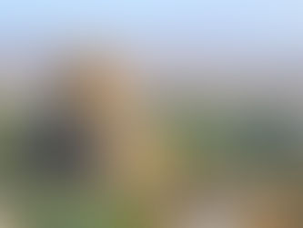 Սիսիանը նոր քաղաքապետ ունի