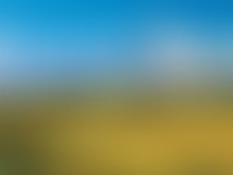 Երբ 387 թվականին աշխարհում սկսվեց գործածվել Արևմտյան Հայաստան անվանումը, մարդկությանը հայտնի չէին ո՛չ թուրքերը, ոչ էլ իրենց ադրբեջանցի անվանող կովկասյան թաթարները․ Շարմազանով