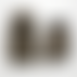 RAW Camo-printed hoodie and shorts set against a white background. Leaf and branch pattern with red logo text visible.