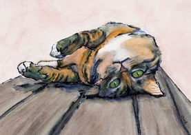 Painting of Maine Coon Cat Staring while on Back , Ink and Watercolor, 8”x10” (sold)