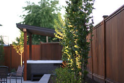 2021-09-24 12.02.10.jpg