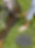91vFo6Uts3L._AC_SL1500_.jpg