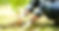Article-Key-Image-453431968-800x420.jpg
