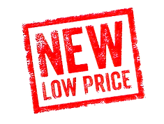 NEW LOWER PRICE2_edited.png