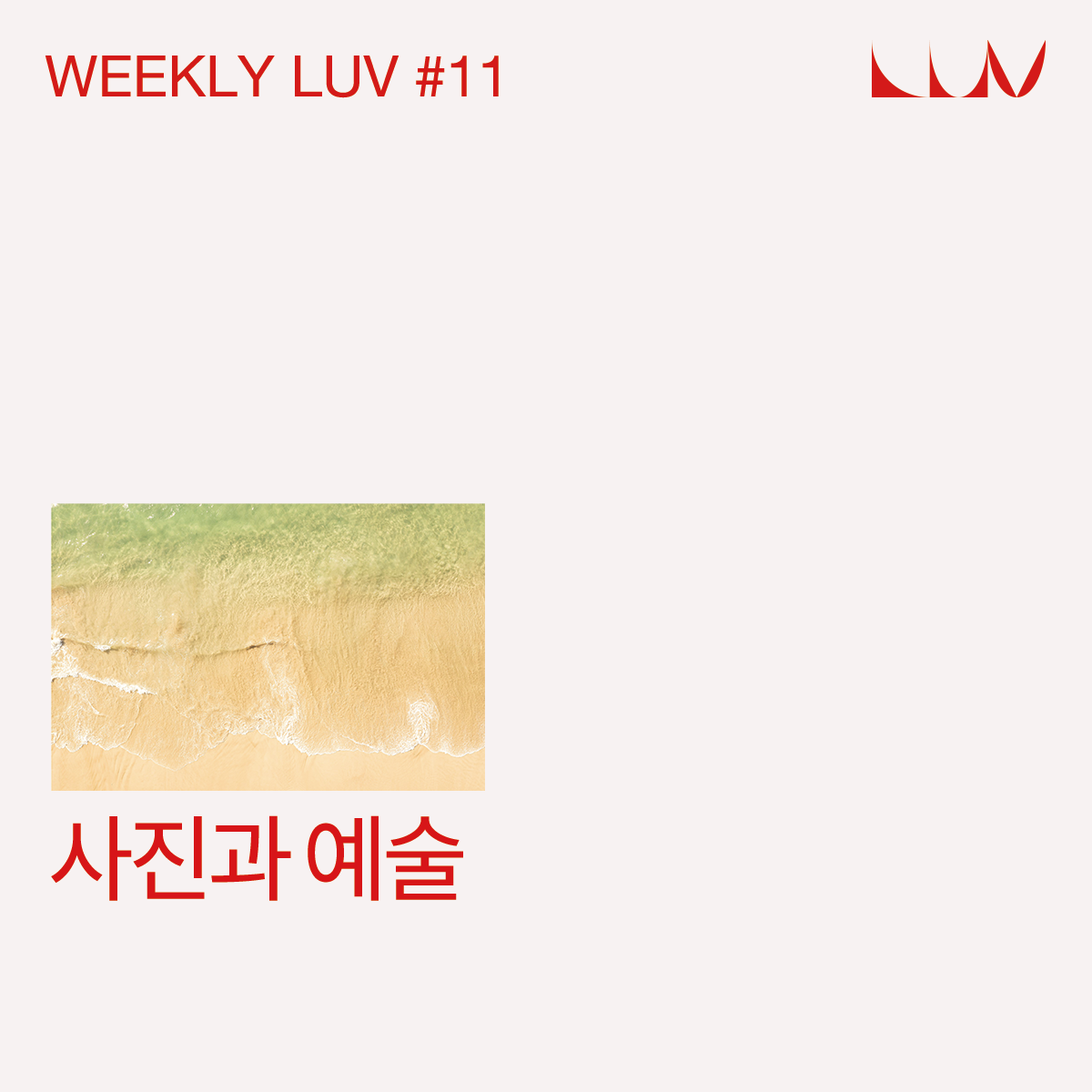 WEEKLY LUV #11 사진과 예술 content media