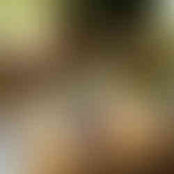 Leuchtbuchstabe L und &, Menuekarte