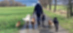 Dogwalkerin und Hundetrainer von City Wauzis mit vielen Hunden.