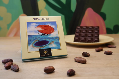 ナッツ×パッションフルーツ〈 ベリーズ70％ 〉 | CHOCO FOREST