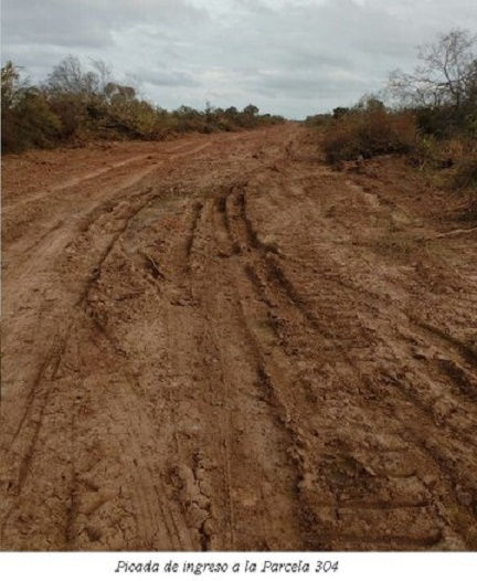 EL IMPENETRABLE: un nuevo gran desmonte clandestino