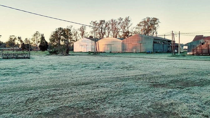 SÁENZ PEÑA CON TEMPERATURAS BAJO CERO, -6 Cº POR LA MAÑANA