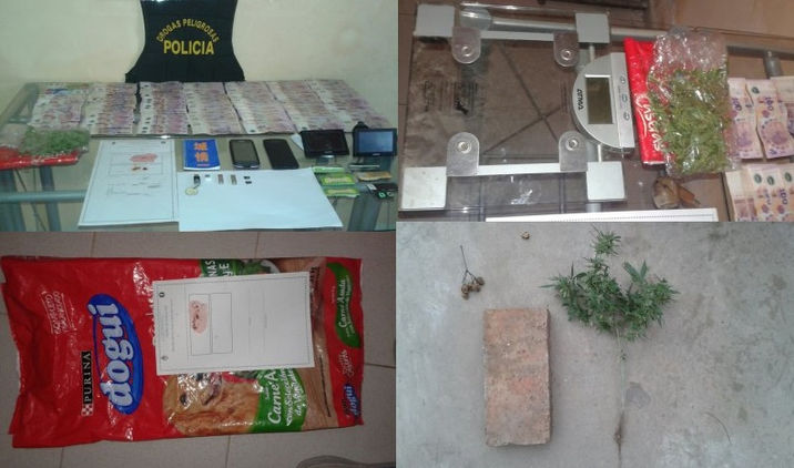 SECUESTRAN DINERO Y UNA PLANTA DE MARIHUANA EN ALLANAMIENTO