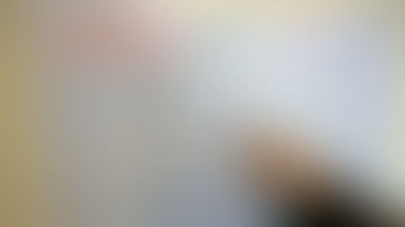¿Qué pasa si no voto en las PASO 2017?