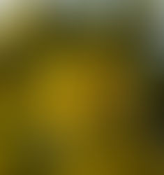 Vishu rituals that have persisted and changed in the 21st Century