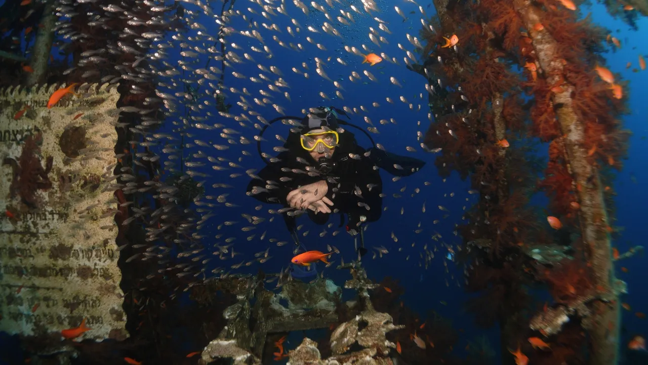 Service_Dive_in_Eilat8.webp