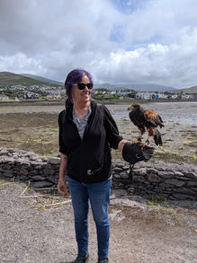 lchawkdingle.jpeg