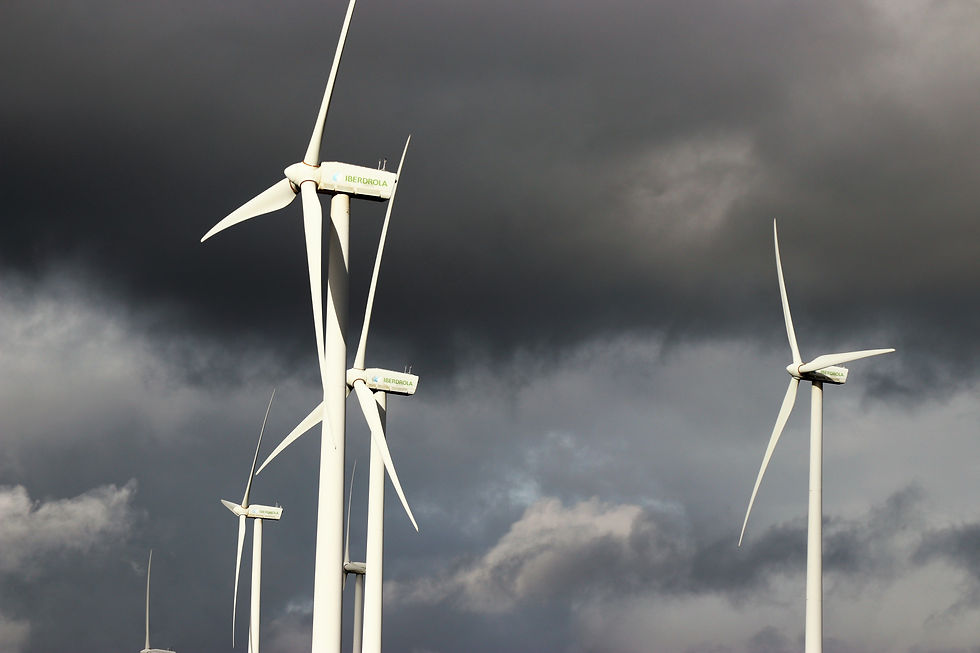 ‘Missing’ windfarm survey raises questions