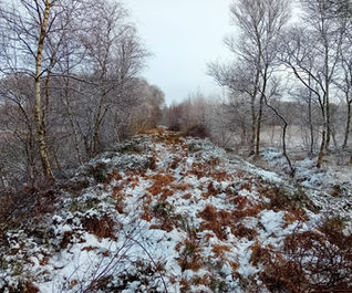 Eingangsweg ins Hollweger Moor in Ihorst Landkreis Ammerland Stadt Westerstede, Naturschutzgebiet und Renaturierungsflächen im Hollweger Moor. Moorschutz, CO2 Speicher.