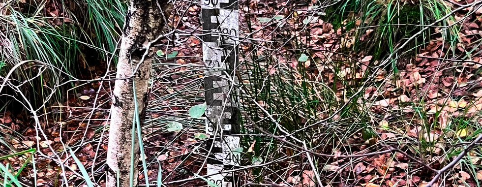 Wasserpegel im Hollweger Moor in Ihorst im Landkreis Ammerland