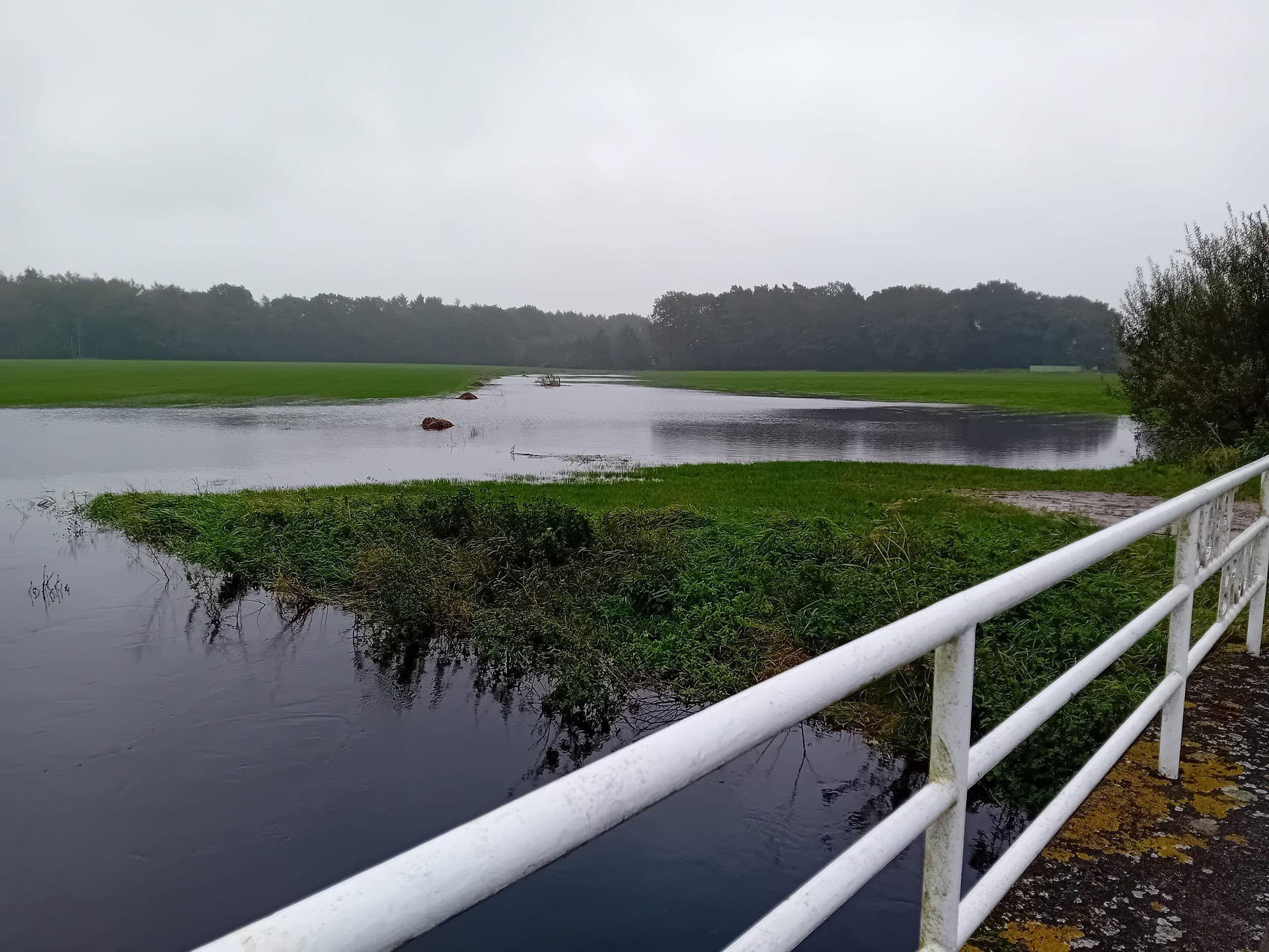 Überschwemmungsgebiet an der großen Norderbäke in Ihorst Ammerland