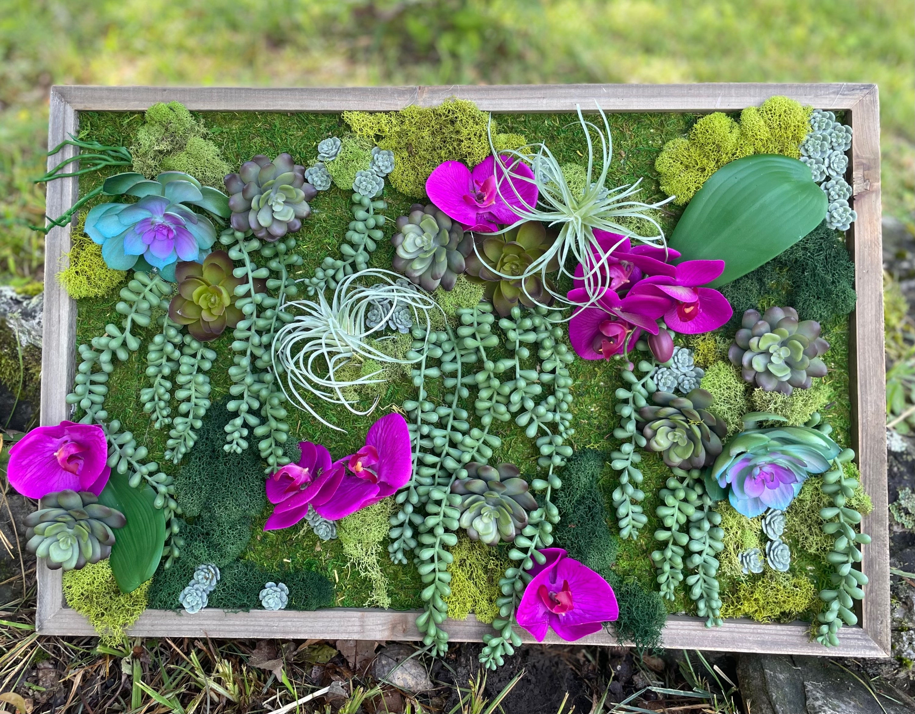 Flora