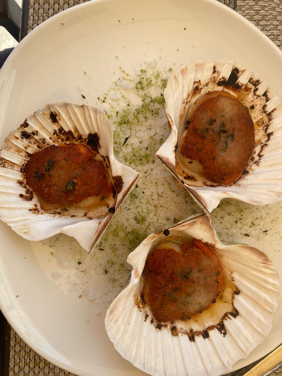 Fresh scallops on a white plate garnished with herbs.