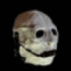 GHOZT-LEFT.jpg