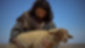 jesus and sheep-2751.jpg