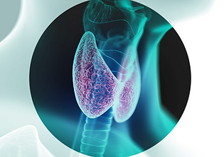 Screen Shot 2021-11-17 at 1.35.54 PM.png