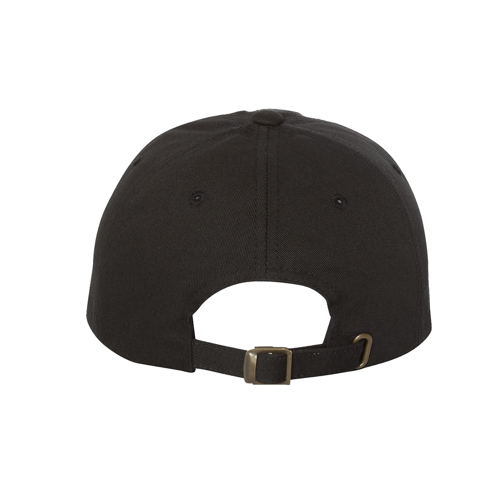 Thumbnail: Rawhide 48 State - Dad Hat