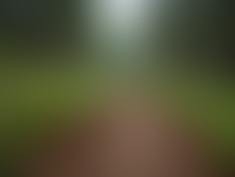 Maintained Single Track Trail