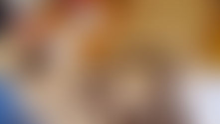 The Adventures of Foxy!