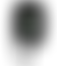 What Is an EV Charging Station? Types, Features & How They Work