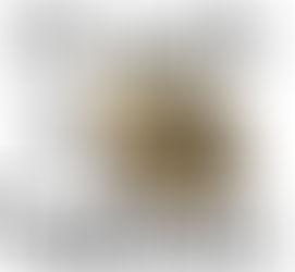 Investing in Your Future