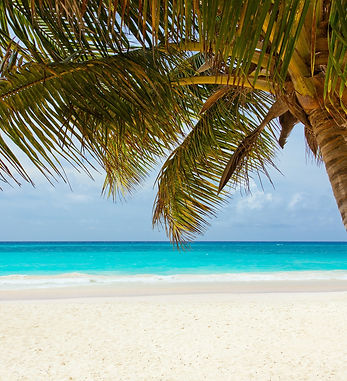 beach-84631_1920.jpg
