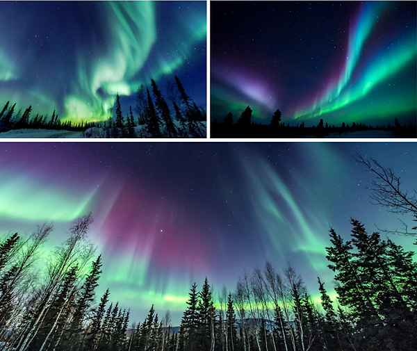 Screen Shot 2020-12-31 at 3.53.56 PM.png